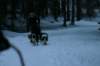 img_1400_small.jpg