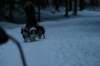 img_1401_small.jpg