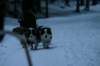 img_1402_small.jpg