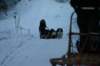 img_1448_small.jpg