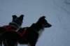 img_1476_small.jpg
