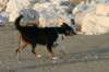img_1284_small.jpg