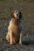 img_1298_small.jpg