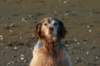img_1300_small.jpg