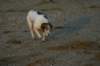img_1316_small.jpg