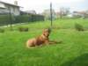 aslan005_small.jpg