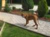 aslan012_small.jpg