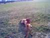 dsc01044_small.jpg