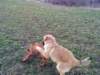 dsc01050_small.jpg