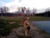 dsc01051_small.jpg