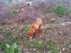 dsc01249_small.jpg