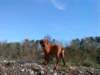 dsc01251_small.jpg