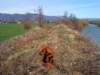 dsc01253_small.jpg