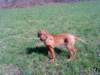 dsc01268_small.jpg