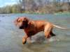 dsc01269_small.jpg