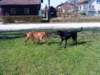 dsc01297_small.jpg