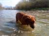 dsc01304_small.jpg