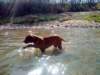 dsc01306_small.jpg