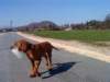 dsc01310_small.jpg