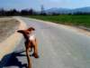 dsc01311_small.jpg
