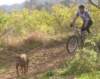 bike1_small.jpg