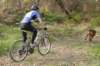 bike3_small.jpg