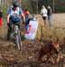 bike9_small.jpg