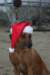 img_6629_small.jpg