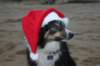 img_6686_small.jpg