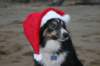 img_6689_small.jpg