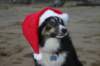 img_6690_small.jpg