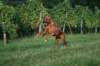 bahiyakeya_02_small.jpg