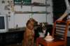 img_3580_small.jpg