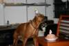 img_3581_small.jpg