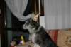 img_3586_small.jpg