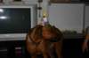 img_3587_small.jpg