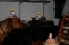 img_3589_small.jpg