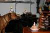 img_3590_small.jpg