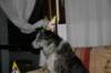 img_3592_small.jpg