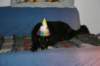 img_3610_small.jpg