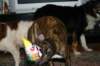 img_3620_small.jpg