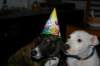 img_3622_small.jpg