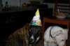 img_3624_small.jpg