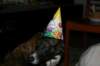 img_3625_small.jpg