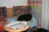 image008_small.jpg