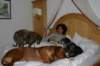 image009_small.jpg