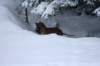 image017_small.jpg