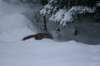 image019_small.jpg