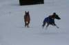 image025_small.jpg