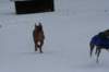 image026_small.jpg